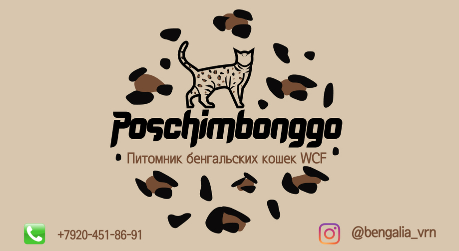 Poschimbonggo
